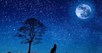 The Midnight Visitor in Hindi Explanation